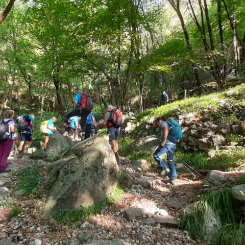  Tipiche "Casote" Valle di Sant'Antonio - © G.S. Marinelli, riproduzione vietata.