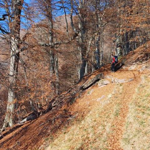 Si rientra in zona boschiva  - © G.S. Marinelli, riproduzione vietata.