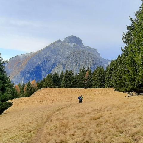 Inizio Sentiero del Costone  - © G.S. Marinelli, riproduzione vietata.