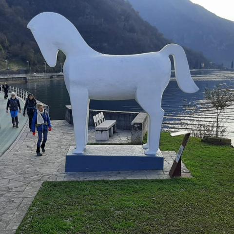 Lungo Lago tra Toline e Pisogne  - © G.S. Marinelli, riproduzione vietata.