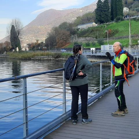 Lungo Lago tra Toline e Pisogne  - © G.S. Marinelli, riproduzione vietata.