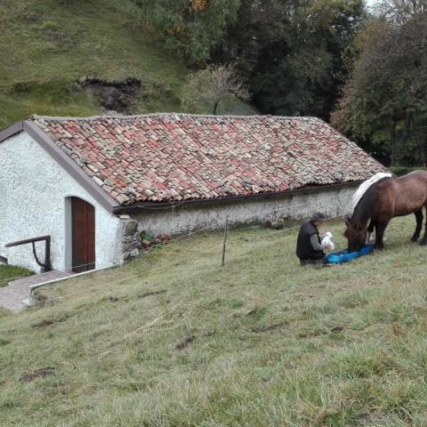   - © G.S. Marinelli, riproduzione vietata.