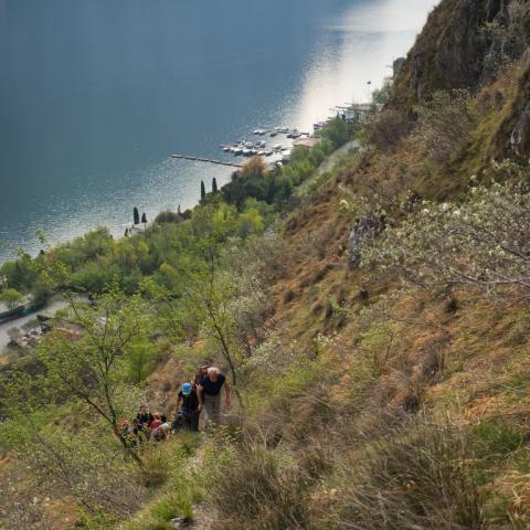   - © G.S. Marinelli, riproduzione vietata.